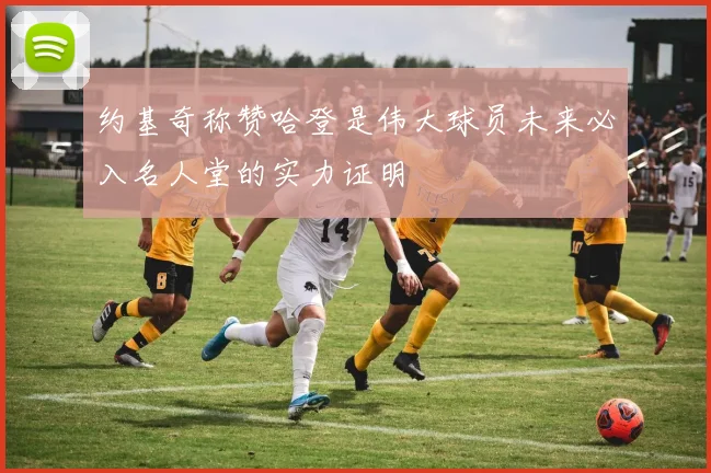 约基奇称赞哈登是伟大球员未来必入名人堂的实力证明
